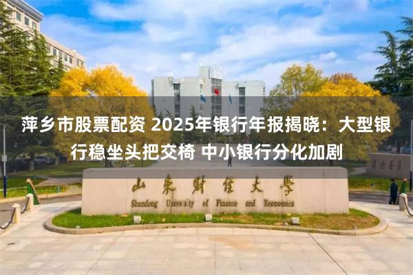 萍乡市股票配资 2025年银行年报揭晓：大型银行稳坐头把交椅 中小银行分化加剧