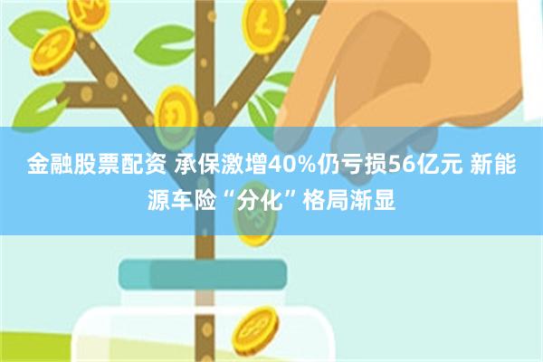金融股票配资 承保激增40%仍亏损56亿元 新能源车险“分化”格局渐显