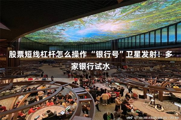 股票短线杠杆怎么操作 “银行号”卫星发射！多家银行试水