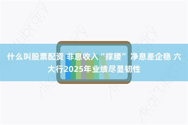 什么叫股票配资 非息收入“撑腰” 净息差企稳 六大行2025年业绩尽显韧性