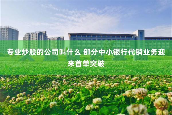 专业炒股的公司叫什么 部分中小银行代销业务迎来首单突破