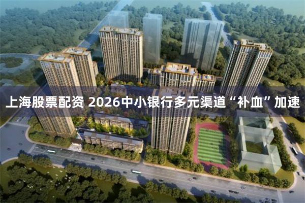 上海股票配资 2026中小银行多元渠道“补血”加速