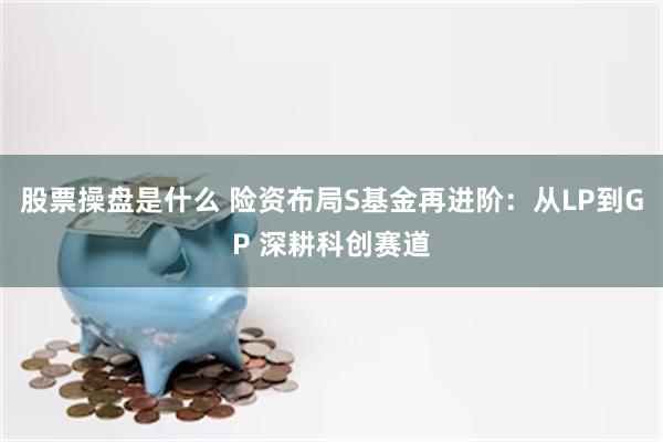 股票操盘是什么 险资布局S基金再进阶：从LP到GP 深耕科创赛道