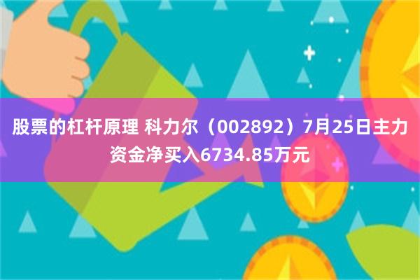 股票的杠杆原理 科力尔（002892）7月25日主力资金净买入6734.85万元