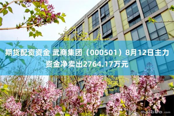 期货配资资金 武商集团(000501)8月12日主力资金净卖出2764.17万元
