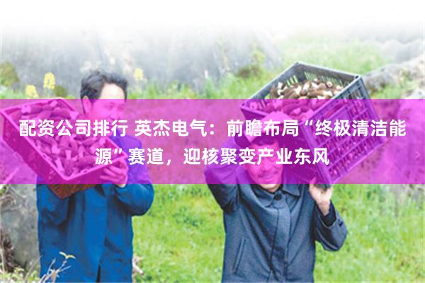 配资公司排行 英杰电气:前瞻布局“终极清洁能源”赛道,迎核聚变产业东风