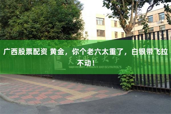 广西股票配资 黄金，你个老六太重了，白银带飞拉不动！
