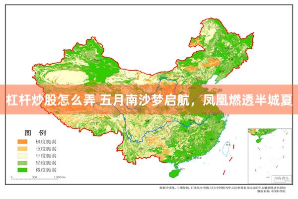 杠杆炒股怎么弄 五月南沙梦启航，凤凰燃透半城夏