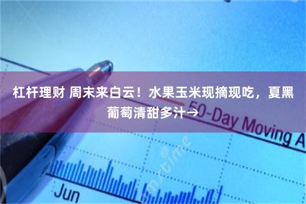 杠杆理财 周末来白云！水果玉米现摘现吃，夏黑葡萄清甜多汁→