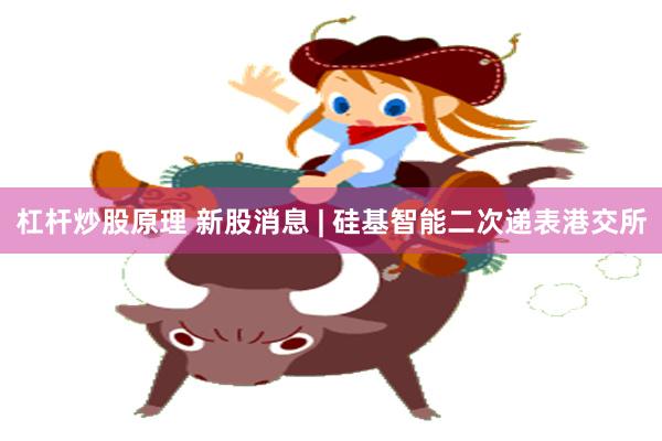 杠杆炒股原理 新股消息 | 硅基智能二次递表港交所