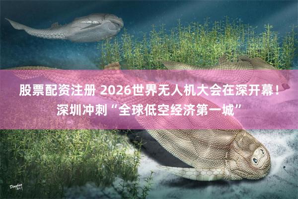 股票配资注册 2026世界无人机大会在深开幕！深圳冲刺“全球低空经济第一城”