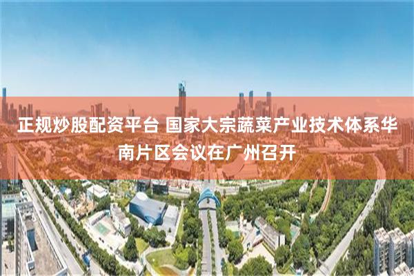 正规炒股配资平台 国家大宗蔬菜产业技术体系华南片区会议在广州召开