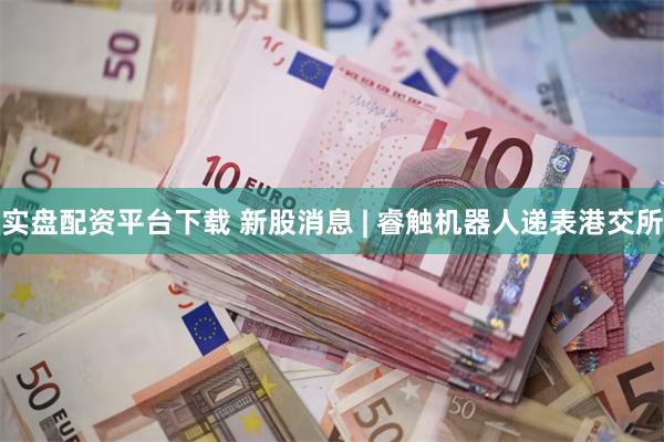 实盘配资平台下载 新股消息 | 睿触机器人递表港交所
