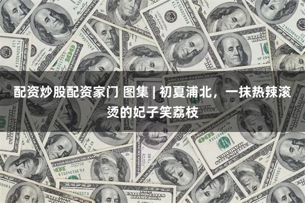 配资炒股配资家门 图集 | 初夏浦北，一抹热辣滚烫的妃子笑荔枝