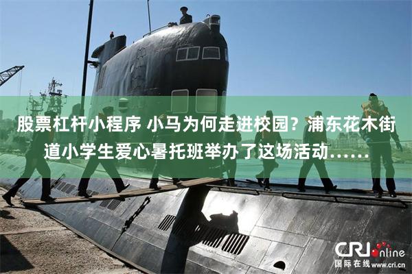 股票杠杆小程序 小马为何走进校园？浦东花木街道小学生爱心暑托班举办了这场活动……