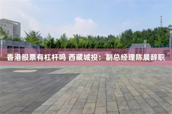 香港股票有杠杆吗 西藏城投：副总经理陈晨辞职