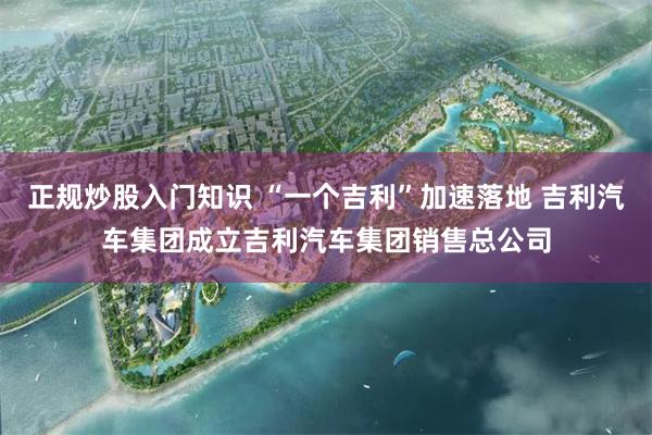 正规炒股入门知识 “一个吉利”加速落地 吉利汽车集团成立吉利汽车集团销售总公司