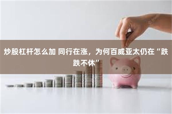 炒股杠杆怎么加 同行在涨,为何百威亚太仍在“跌跌不休”