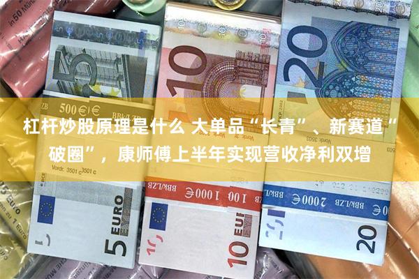 杠杆炒股原理是什么 大单品“长青”、新赛道“破圈”，康师傅上半年实现营收净利双增