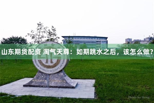 山东期货配资 淘气天尊:如期跳水之后,该怎么做?