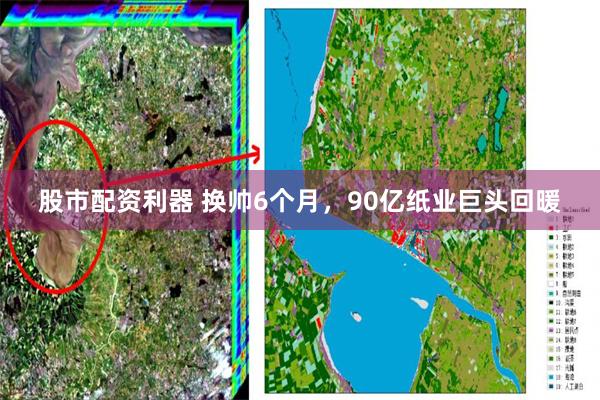 股市配资利器 换帅6个月，90亿纸业巨头回暖
