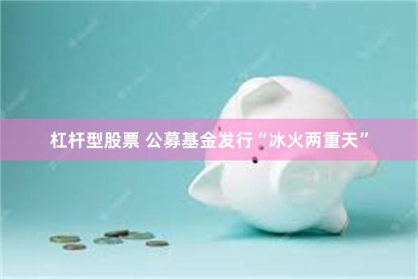 杠杆型股票 公募基金发行“冰火两重天”
