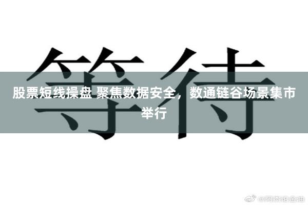 股票短线操盘 聚焦数据安全，数通链谷场景集市举行