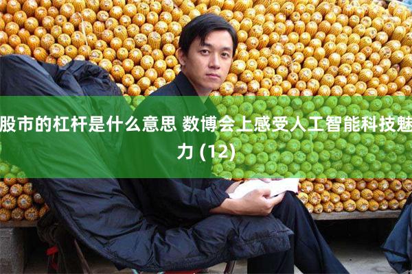 股市的杠杆是什么意思 数博会上感受人工智能科技魅力 (12)