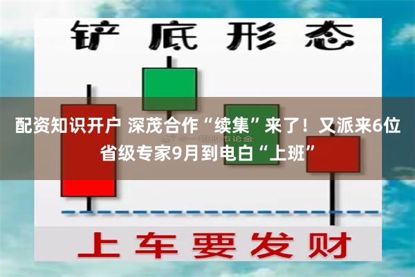 配资知识开户 深茂合作“续集”来了！又派来6位省级专家9月到电白“上班”