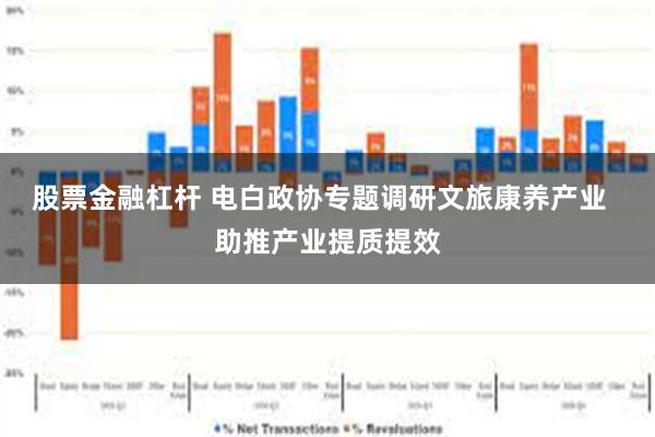 股票金融杠杆 电白政协专题调研文旅康养产业  助推产业提质提效