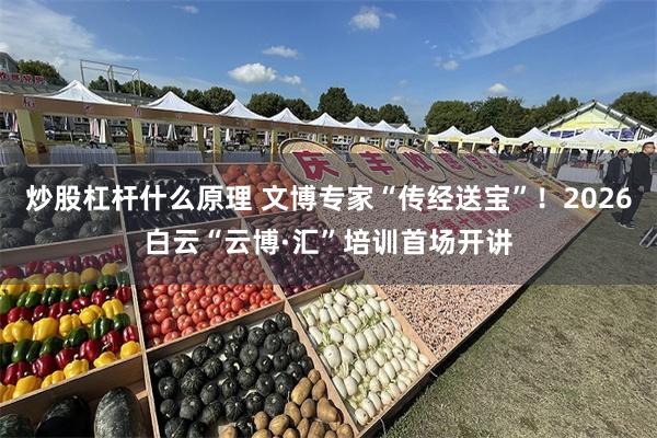炒股杠杆什么原理 文博专家“传经送宝”！2026白云“云博·汇”培训首场开讲