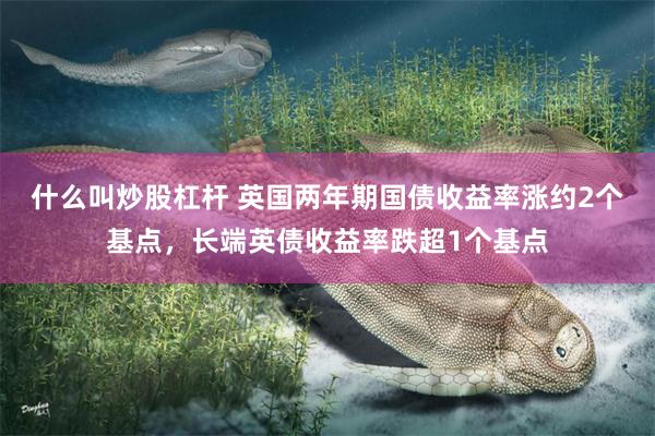 什么叫炒股杠杆 英国两年期国债收益率涨约2个基点，长端英债收益率跌超1个基点