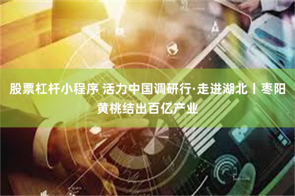 股票杠杆小程序 活力中国调研行·走进湖北丨枣阳黄桃结出百亿产业