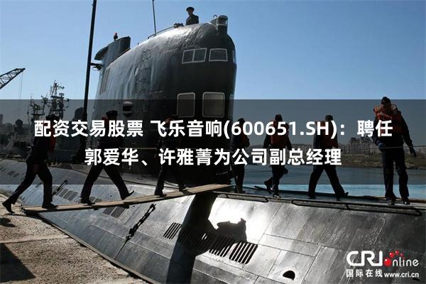 配资交易股票 飞乐音响(600651.SH)：聘任郭爱华、许雅菁为公司副总经理