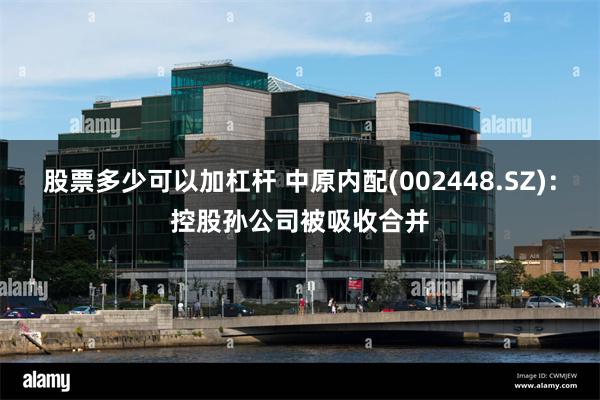 股票多少可以加杠杆 中原内配(002448.SZ)：控股孙公司被吸收合并
